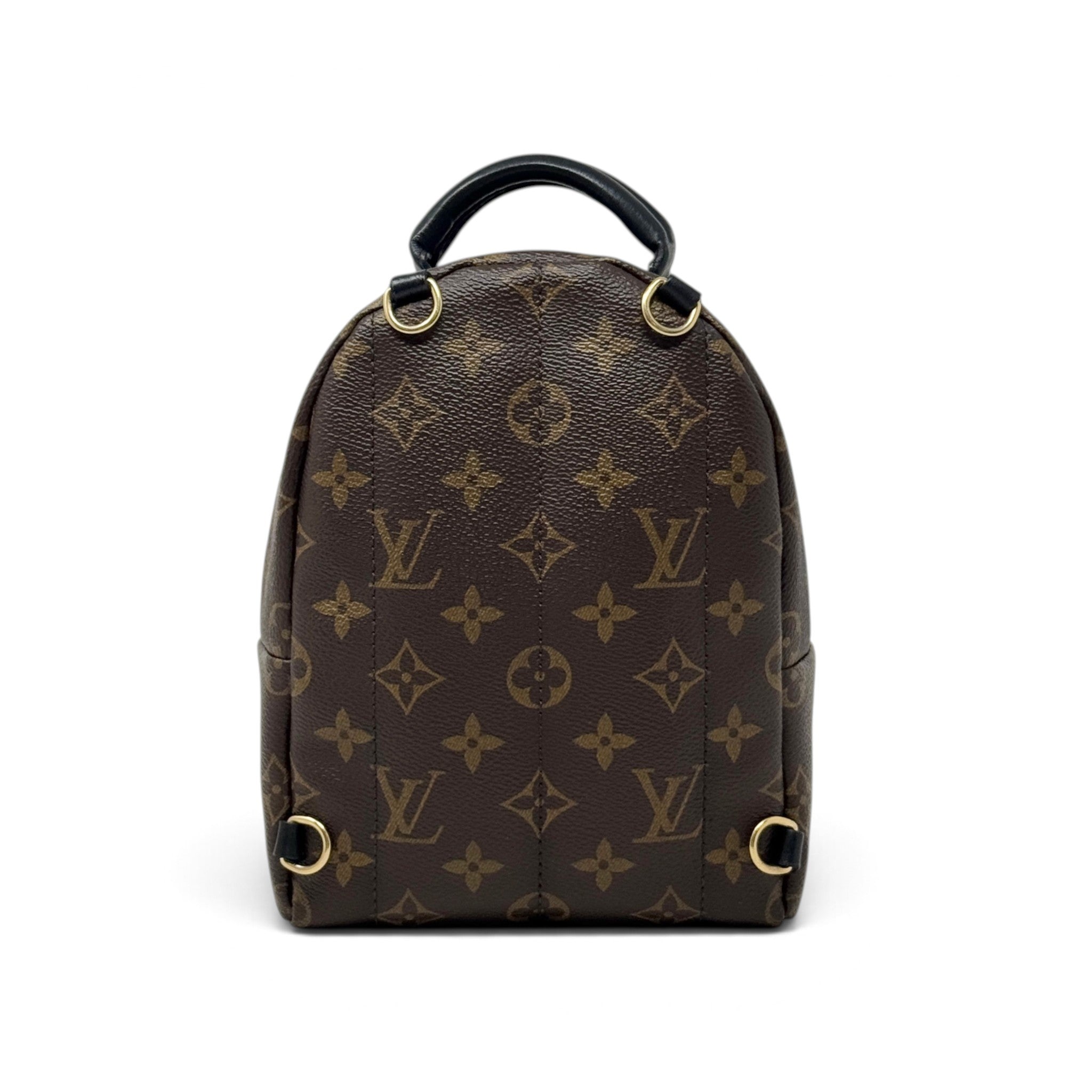 Louis Vuitton Monogram Palm Springs Mini
