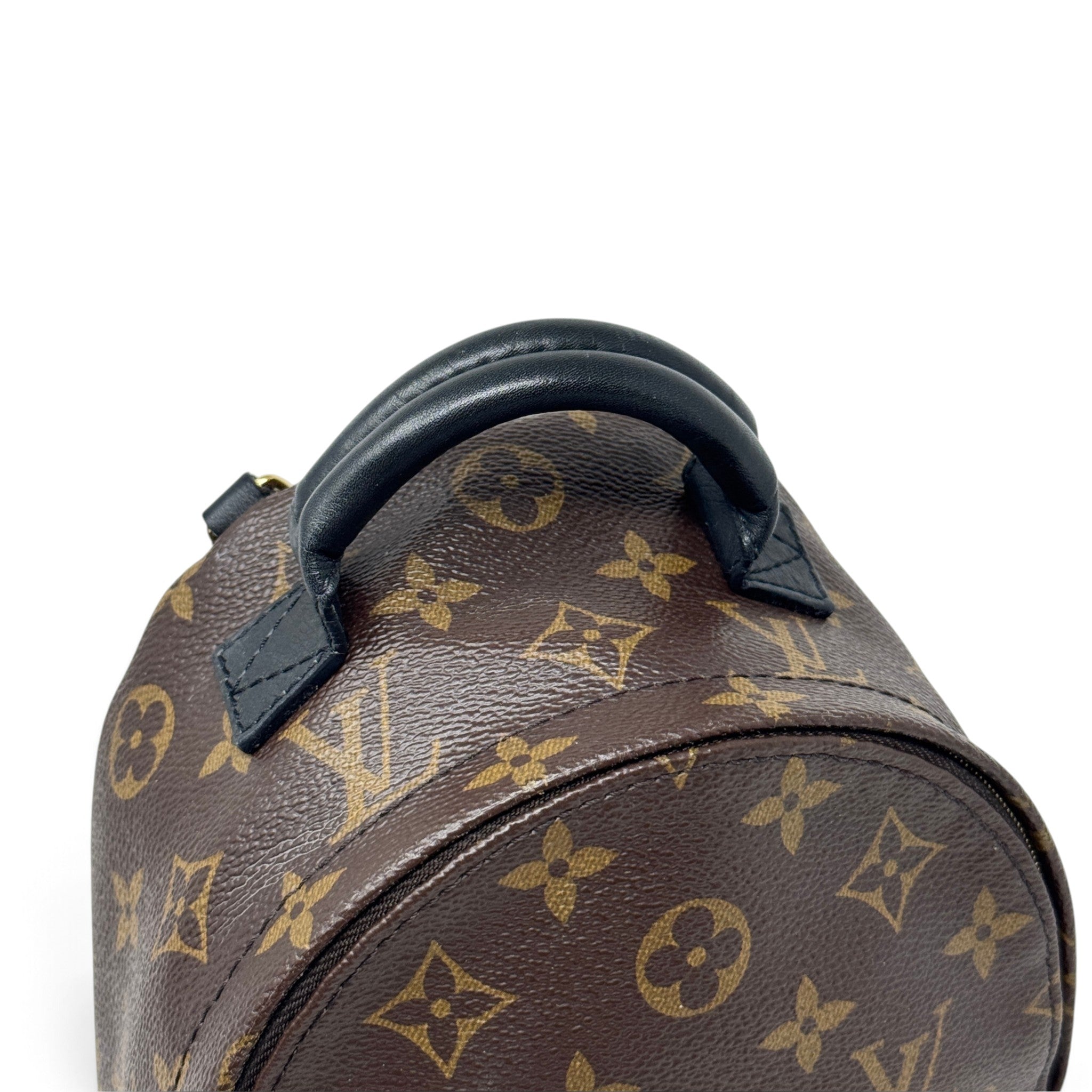 Louis Vuitton Monogram Palm Springs Mini
