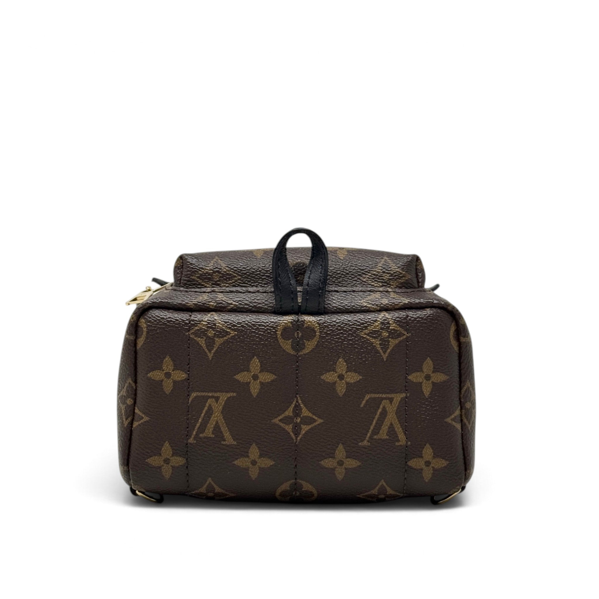 Louis Vuitton Monogram Palm Springs Mini