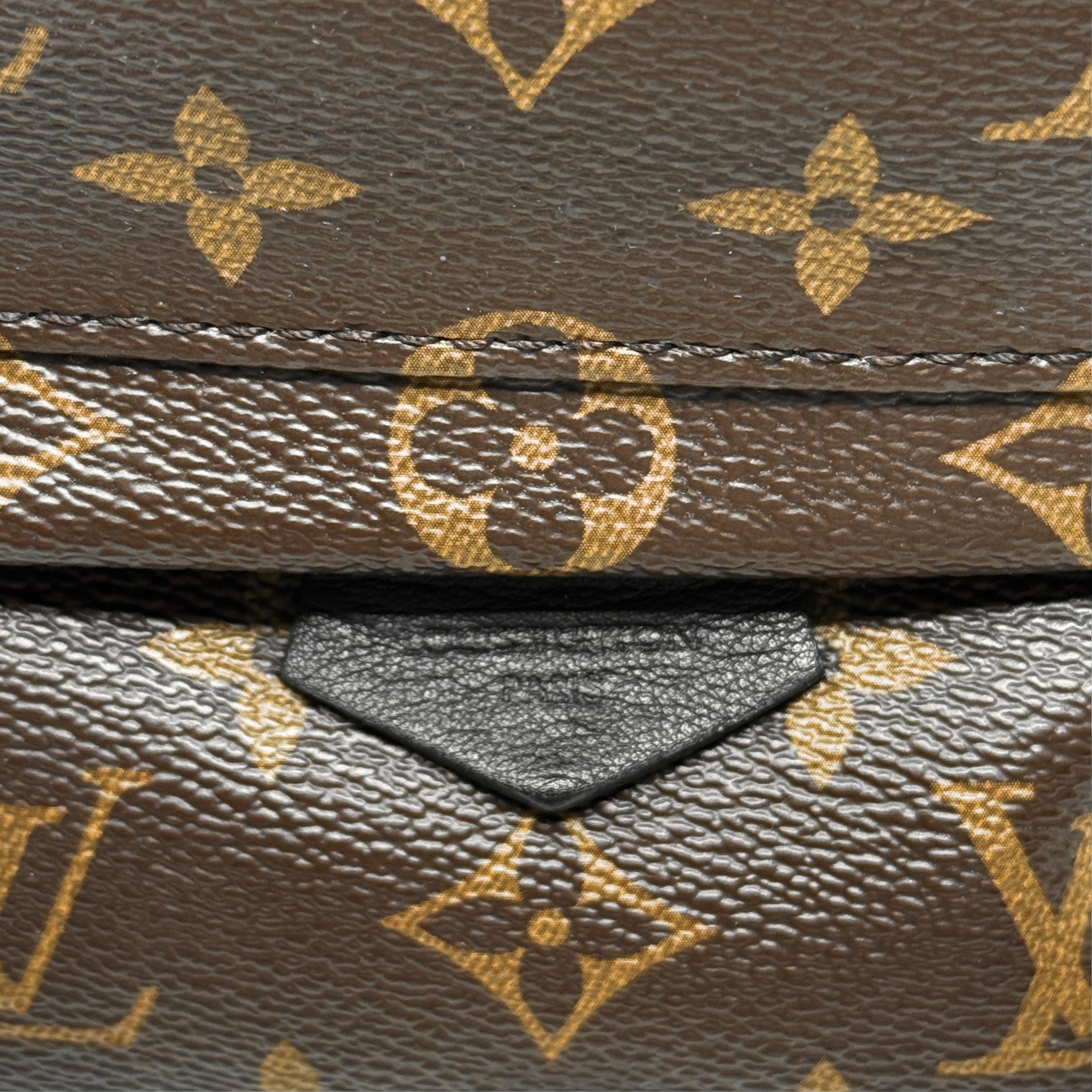 Louis Vuitton Monogram Palm Springs Mini