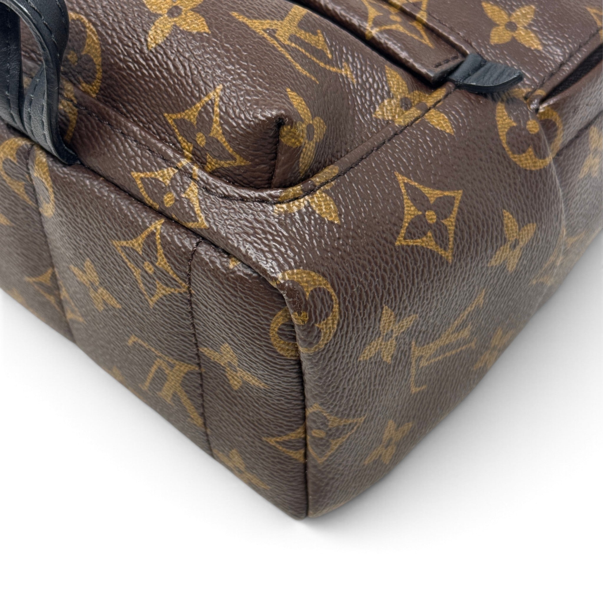 Louis Vuitton Monogram Palm Springs Mini