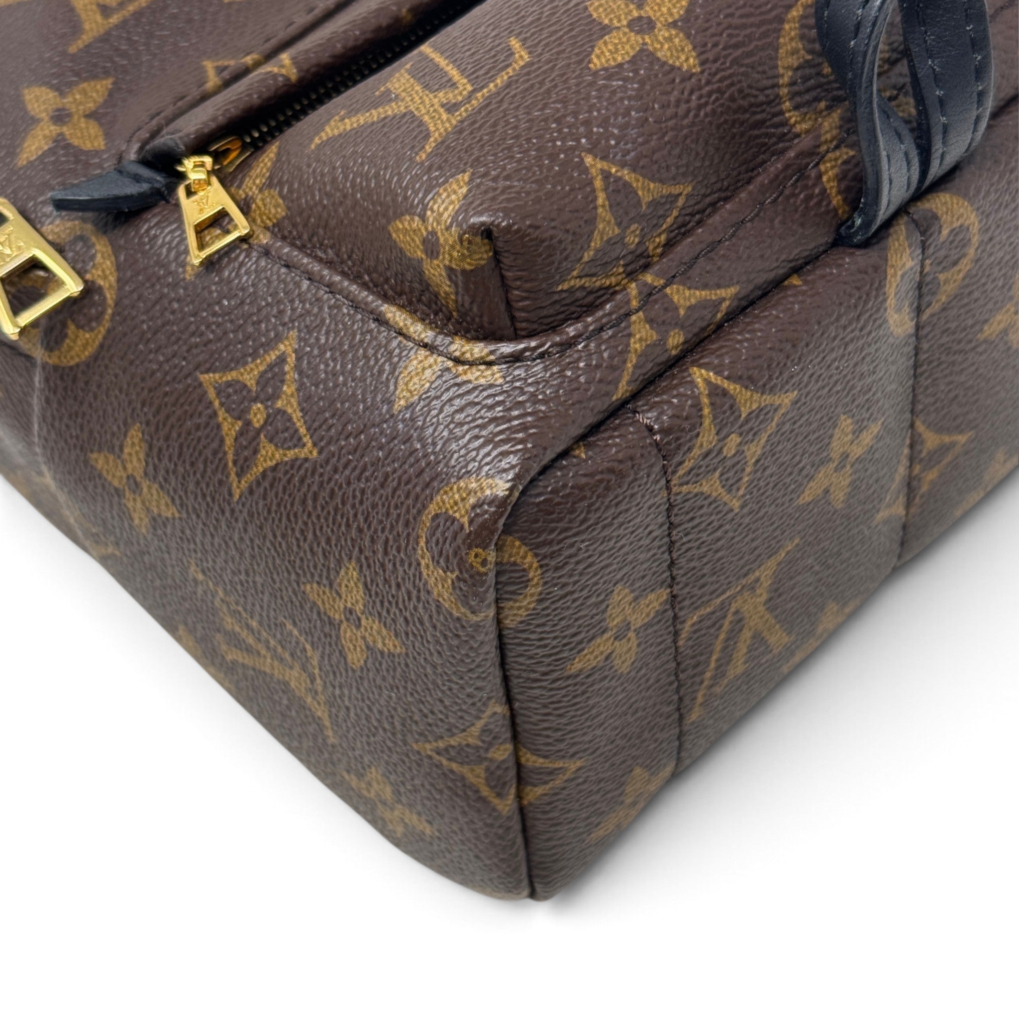 Louis Vuitton Monogram Palm Springs Mini