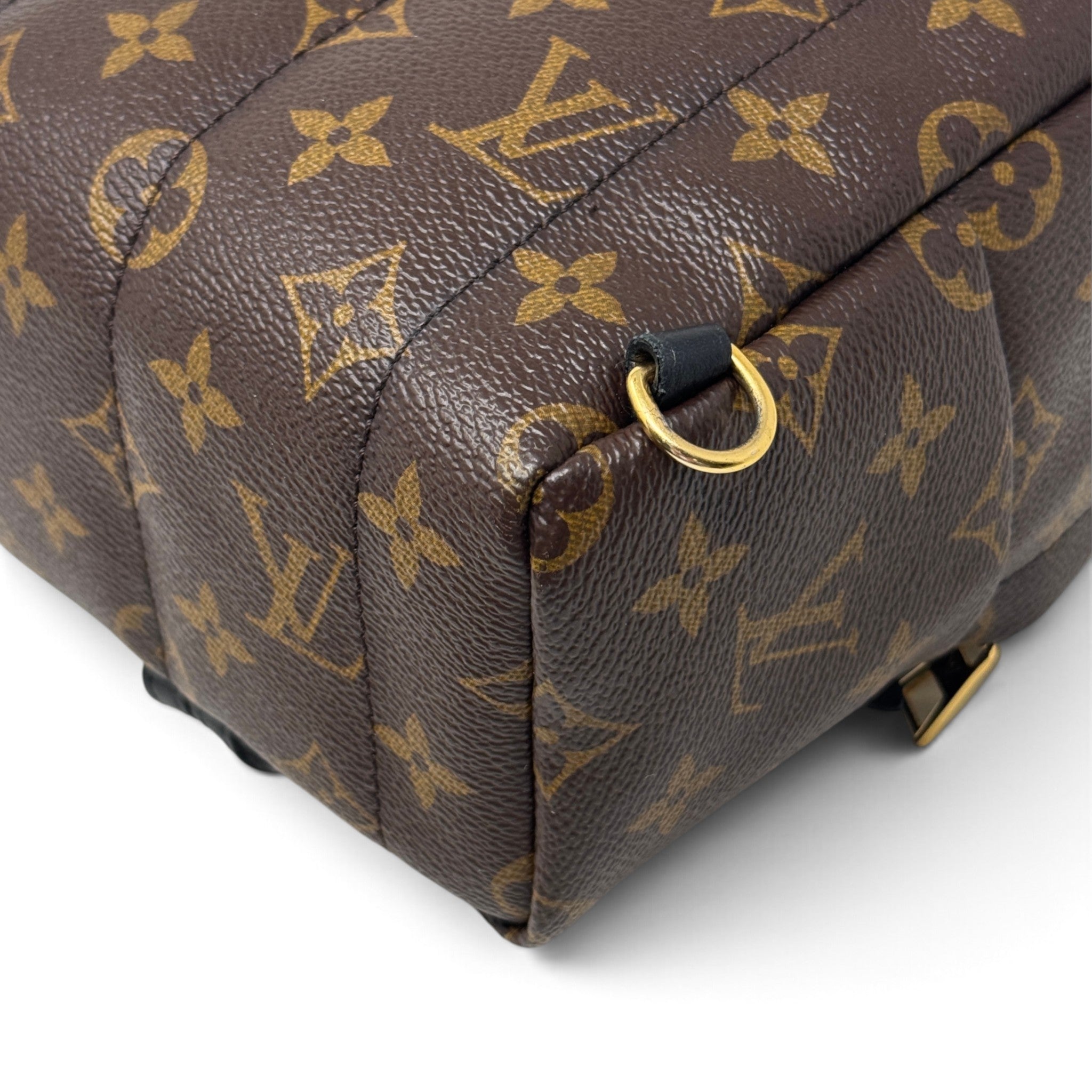 Louis Vuitton Monogram Palm Springs Mini