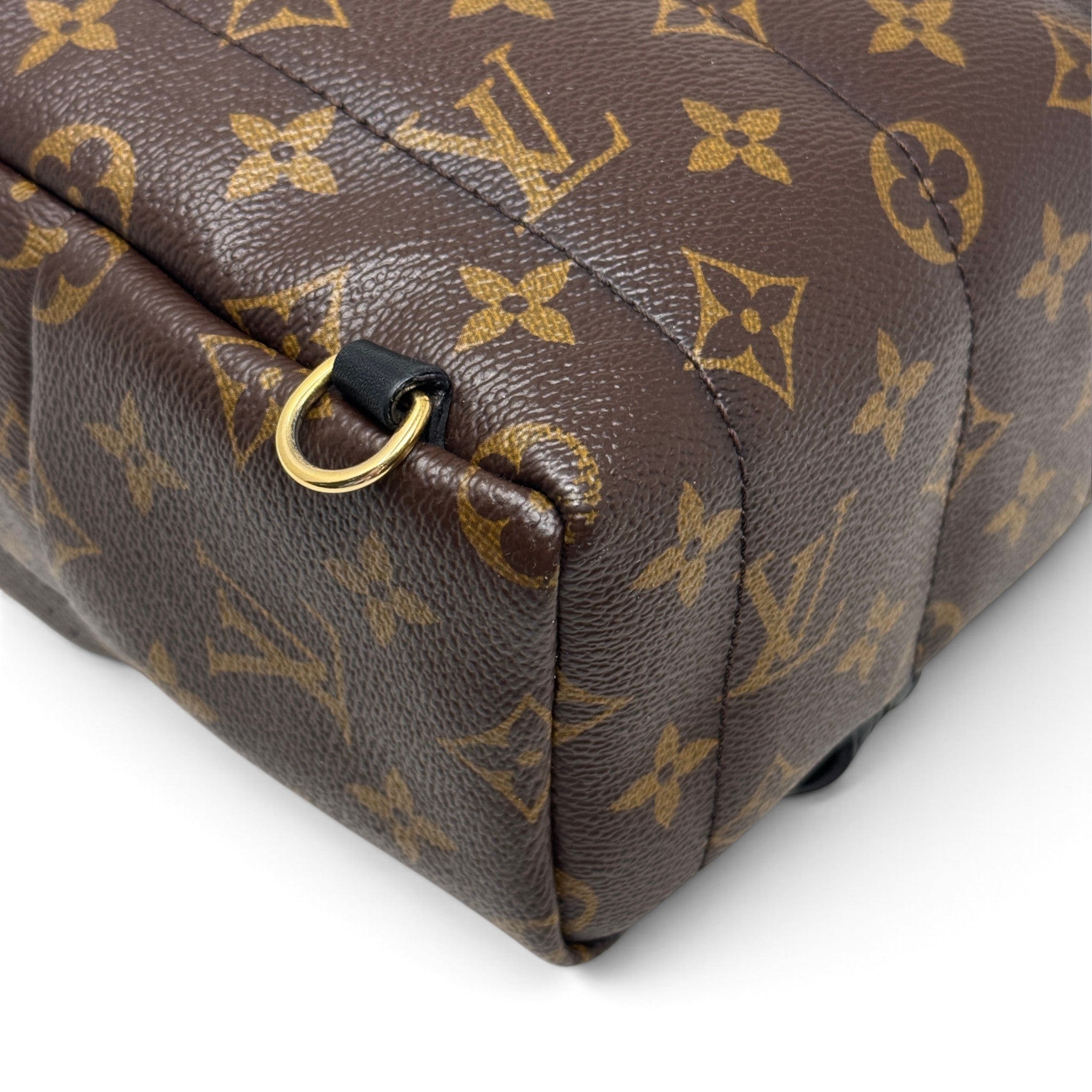Louis Vuitton Monogram Palm Springs Mini
