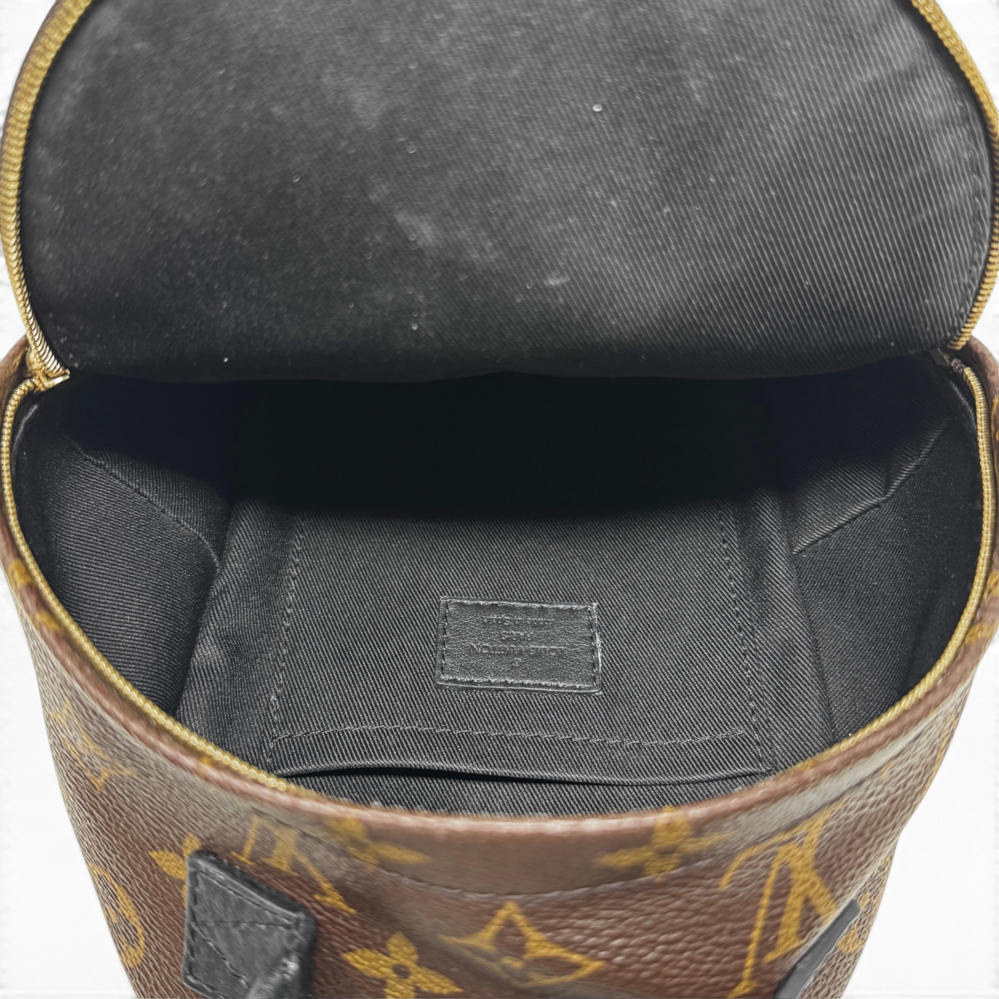 Louis Vuitton Monogram Palm Springs Mini