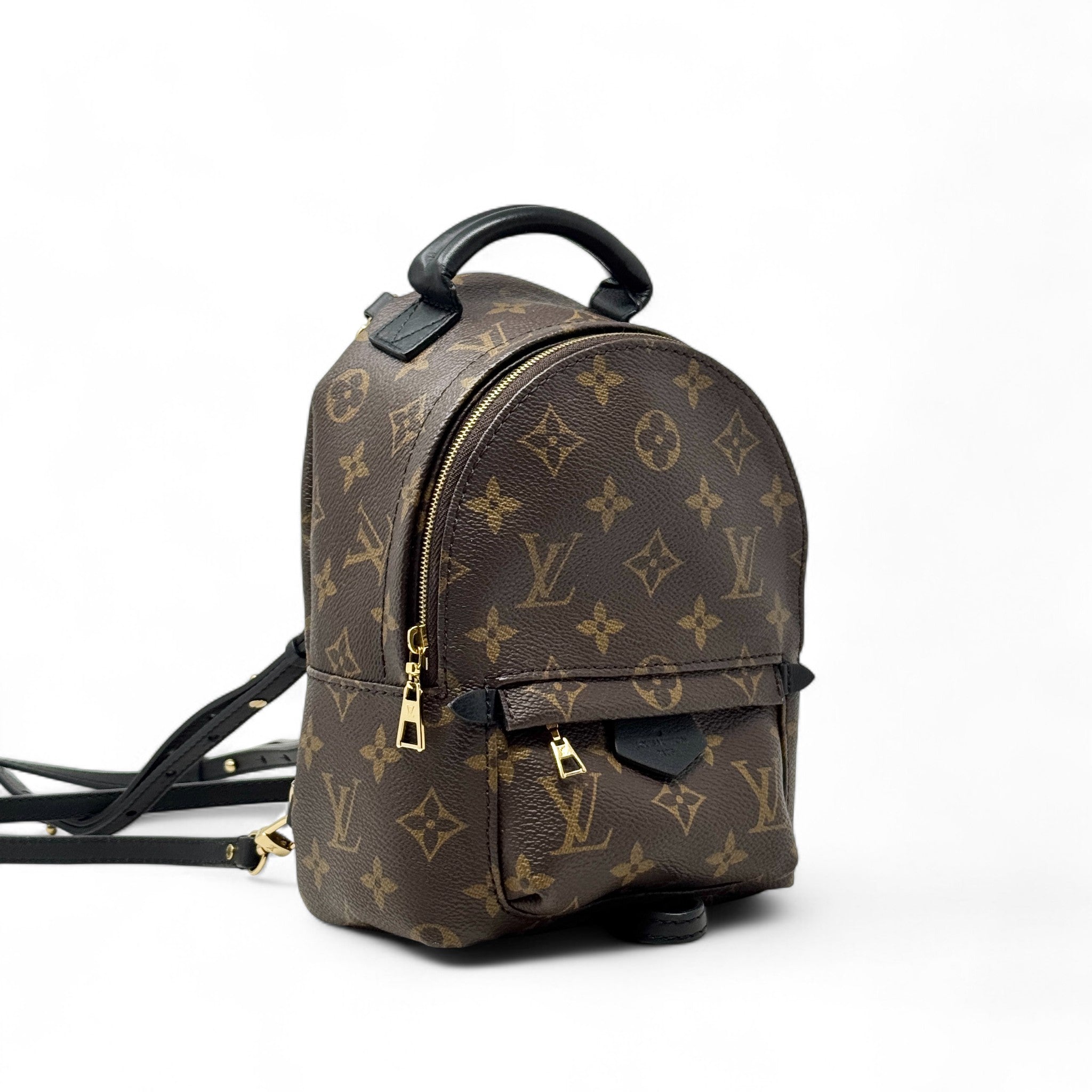 Louis Vuitton Monogram Palm Springs Mini