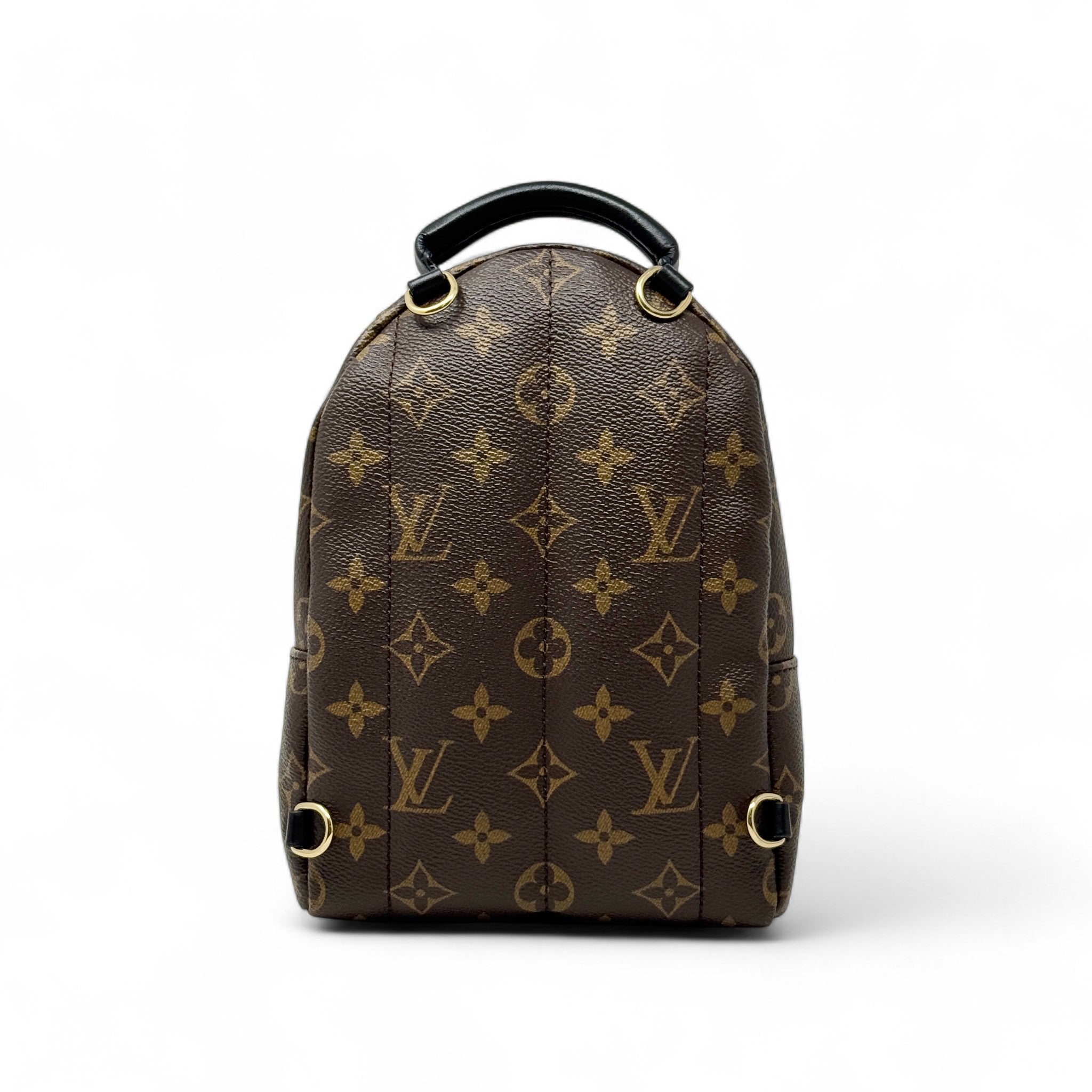 Louis Vuitton Monogram Palm Springs Mini
