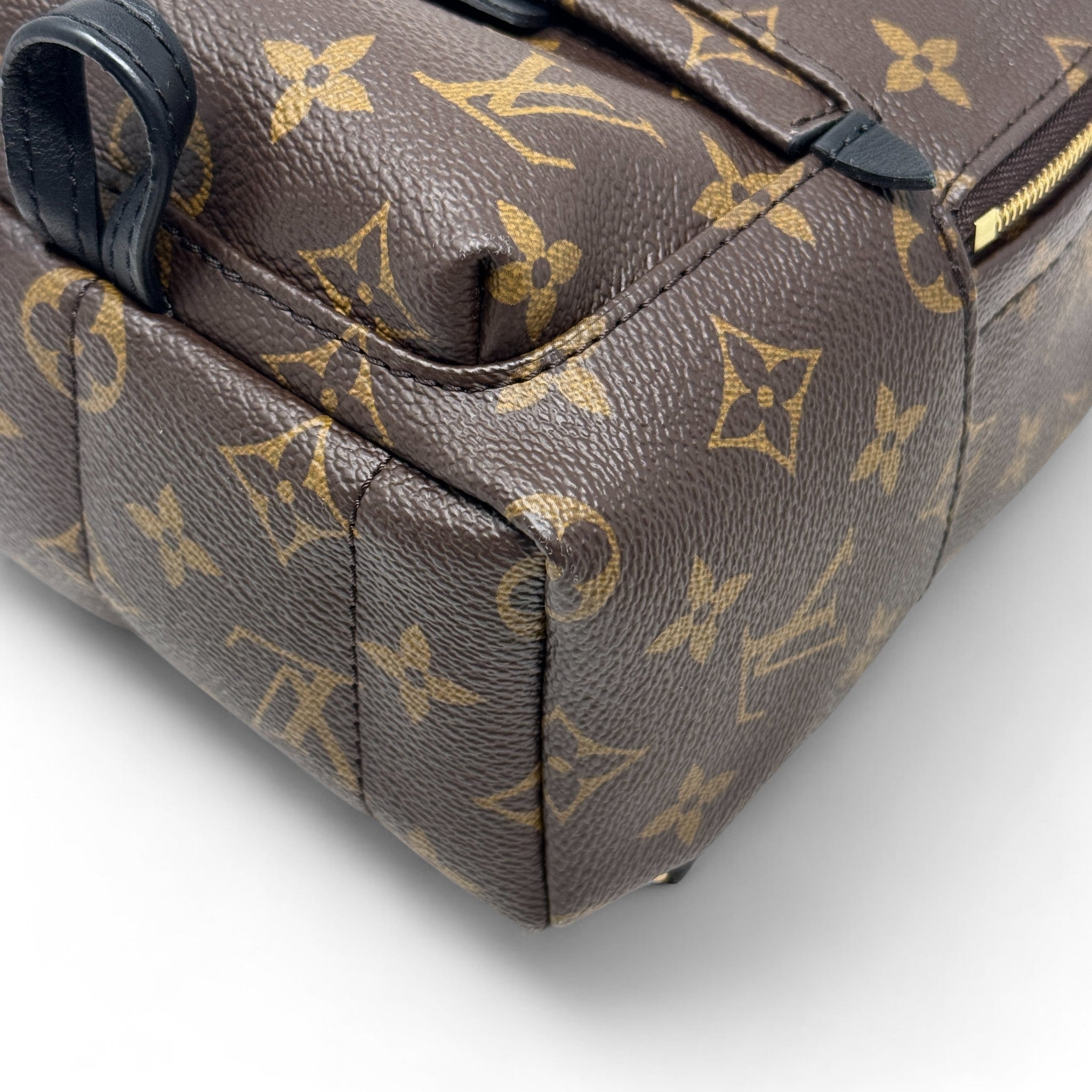 Louis Vuitton Monogram Palm Springs Mini