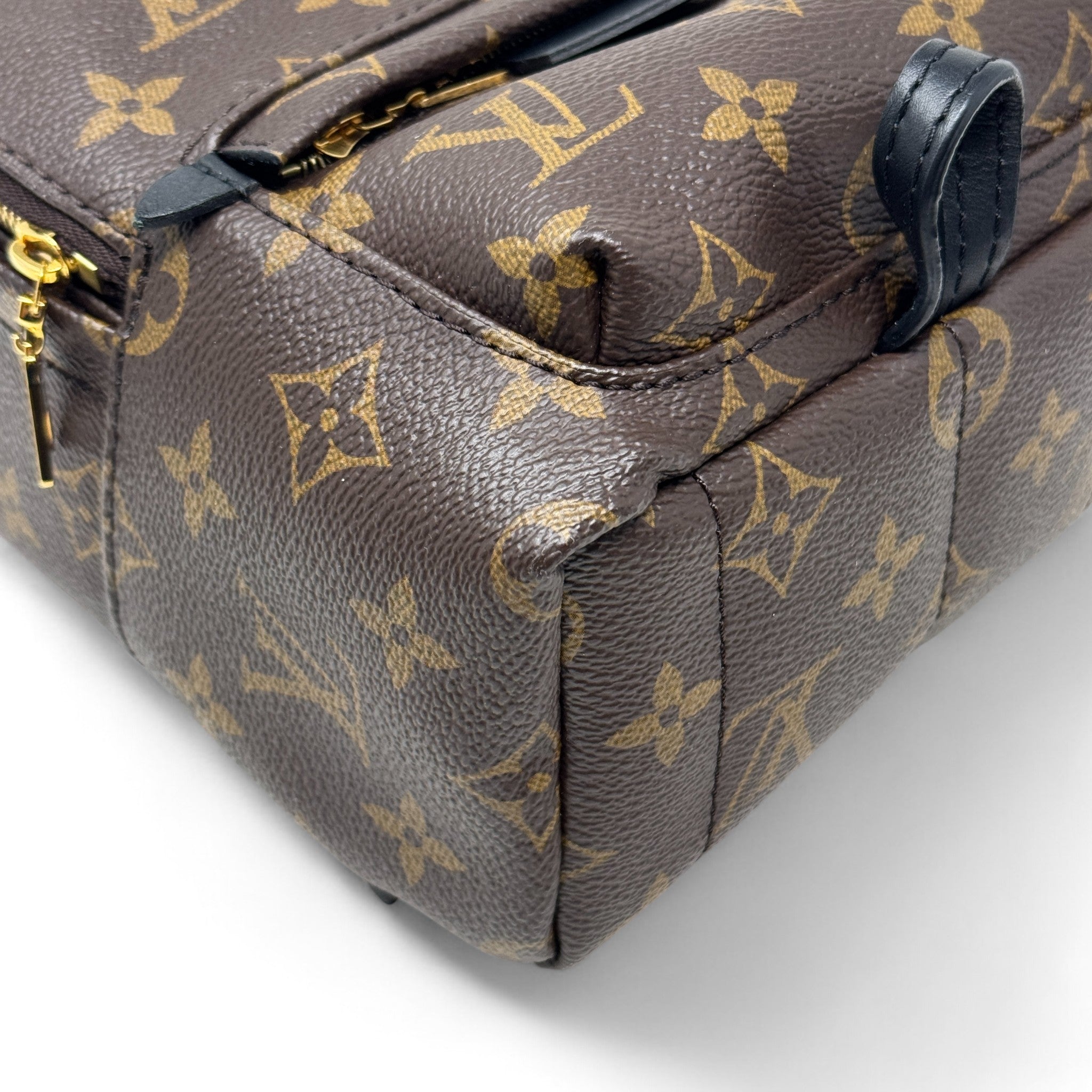 Louis Vuitton Monogram Palm Springs Mini