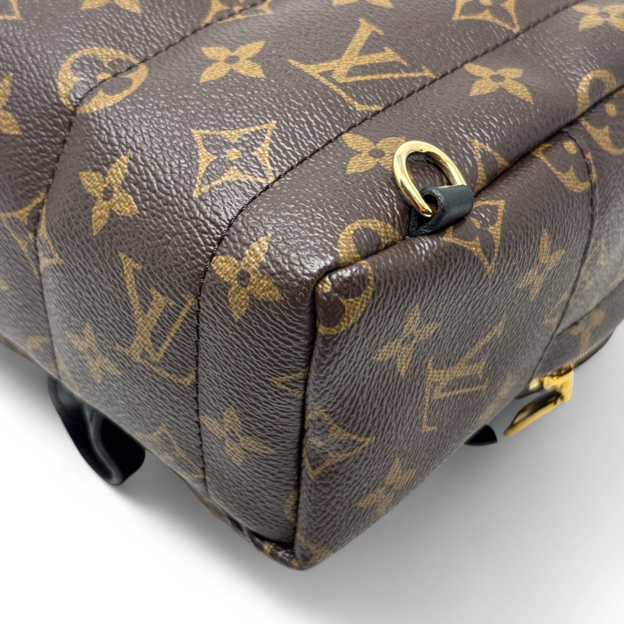Louis Vuitton Monogram Palm Springs Mini