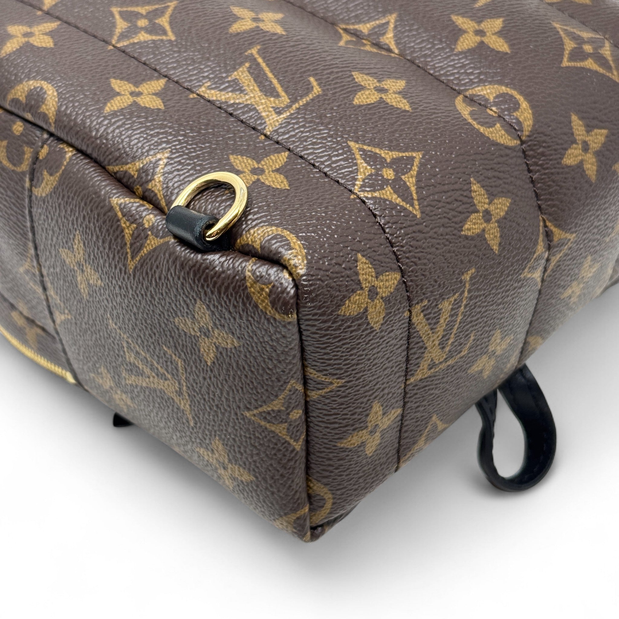 Louis Vuitton Monogram Palm Springs Mini