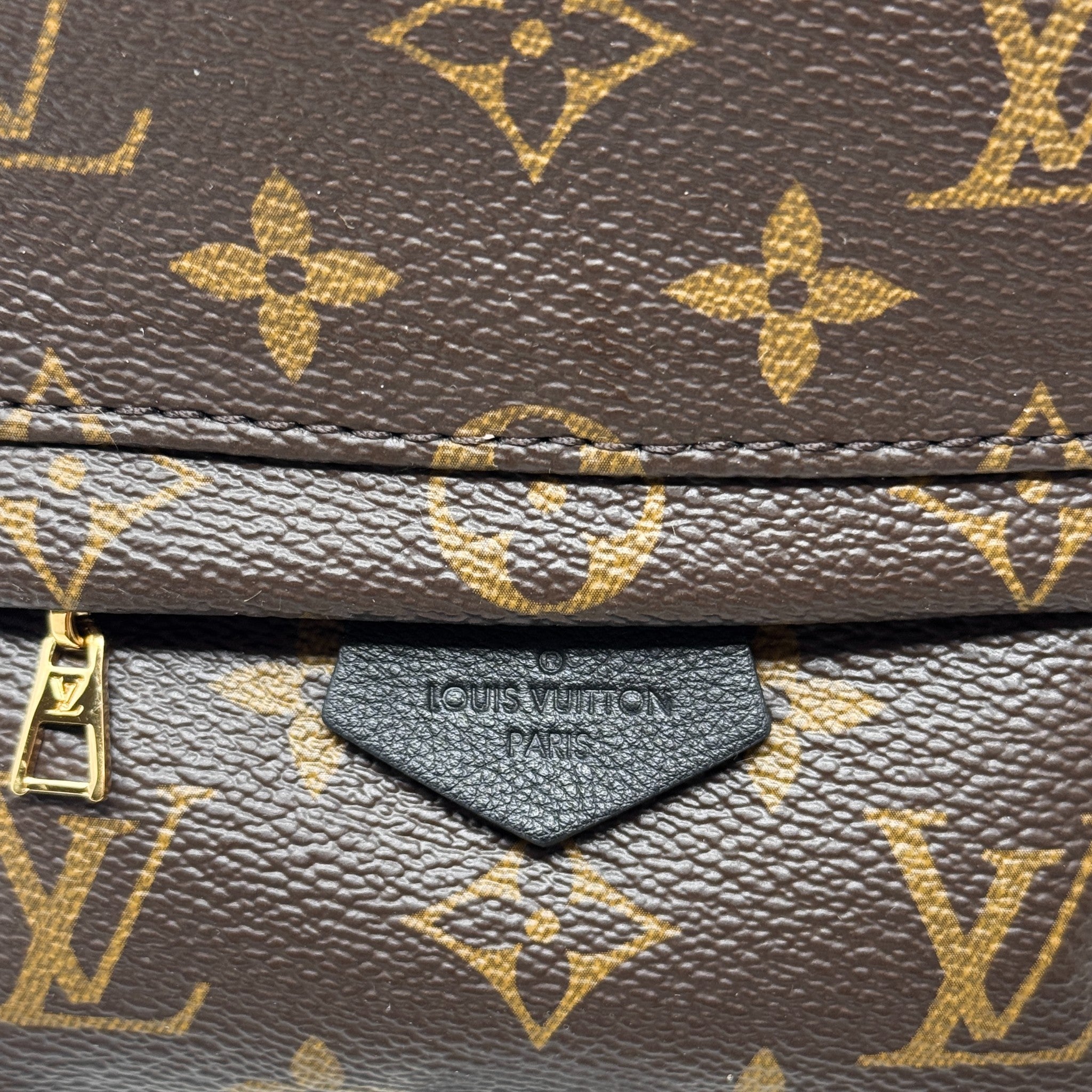 Louis Vuitton Monogram Palm Springs Mini