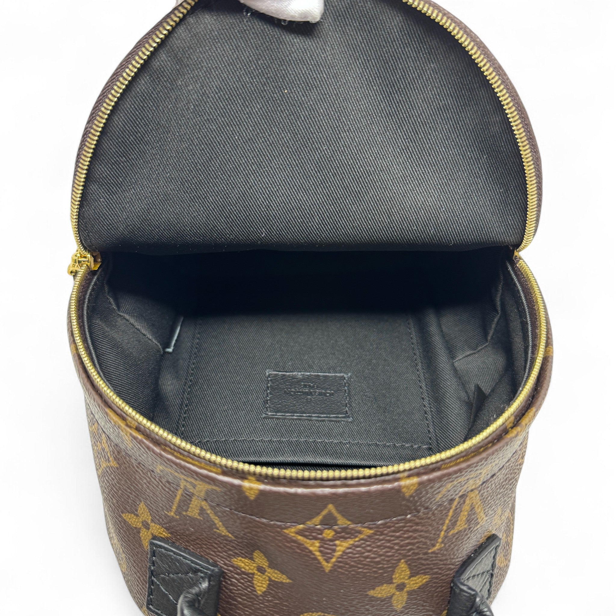 Louis Vuitton Monogram Palm Springs Mini