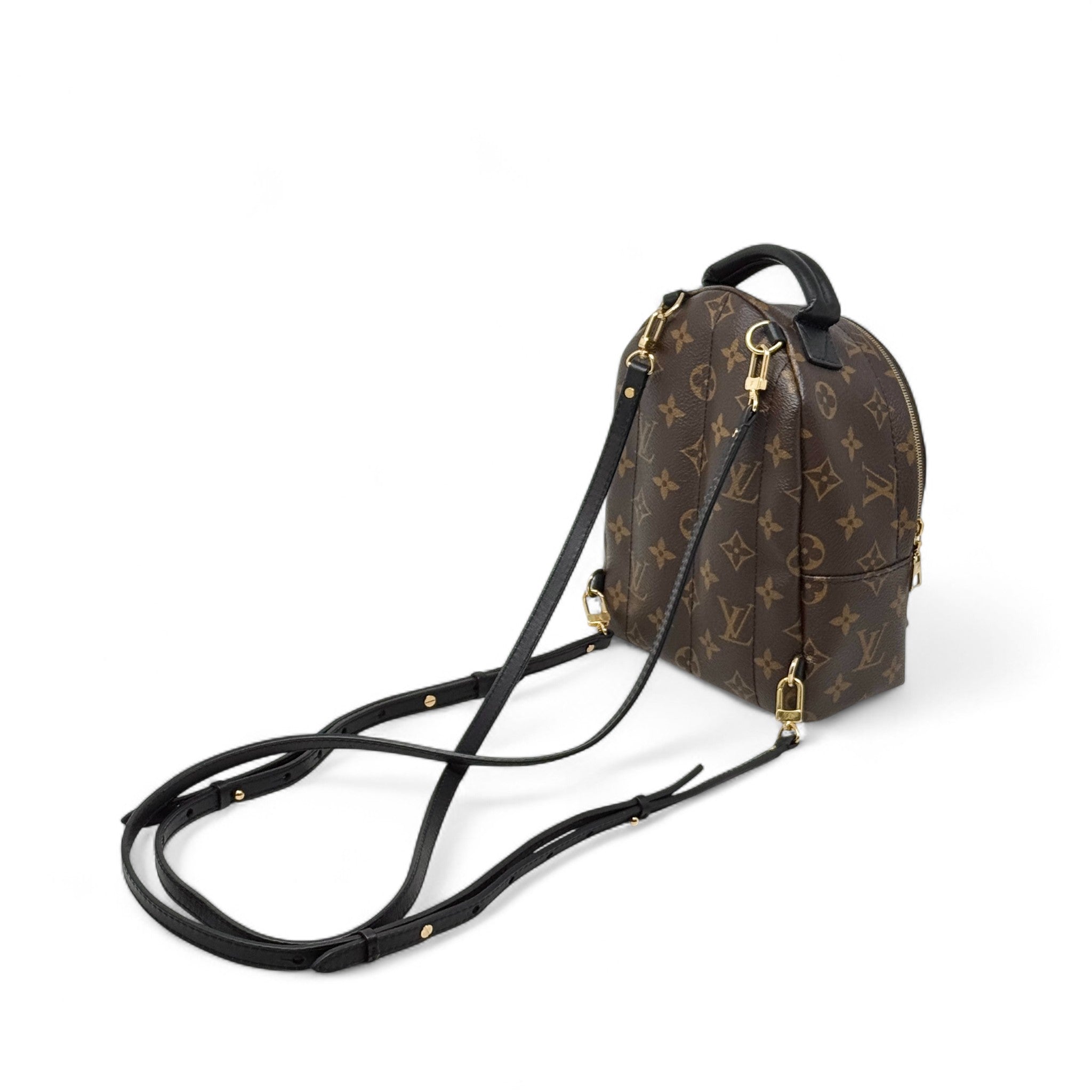 Louis Vuitton Monogram Palm Springs Mini