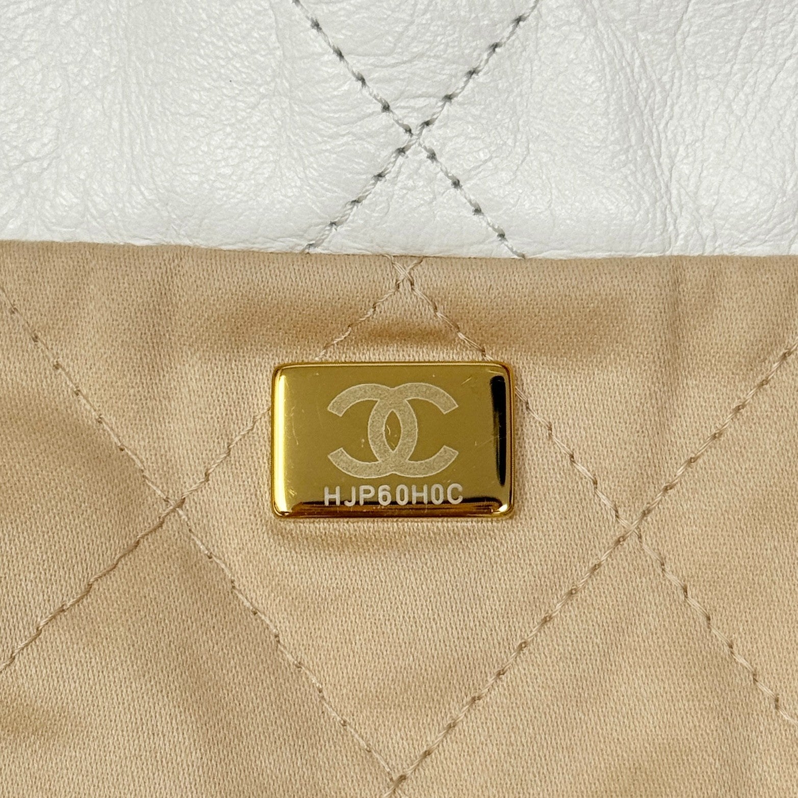 Chanel White Small 22 Hobo With Pouch