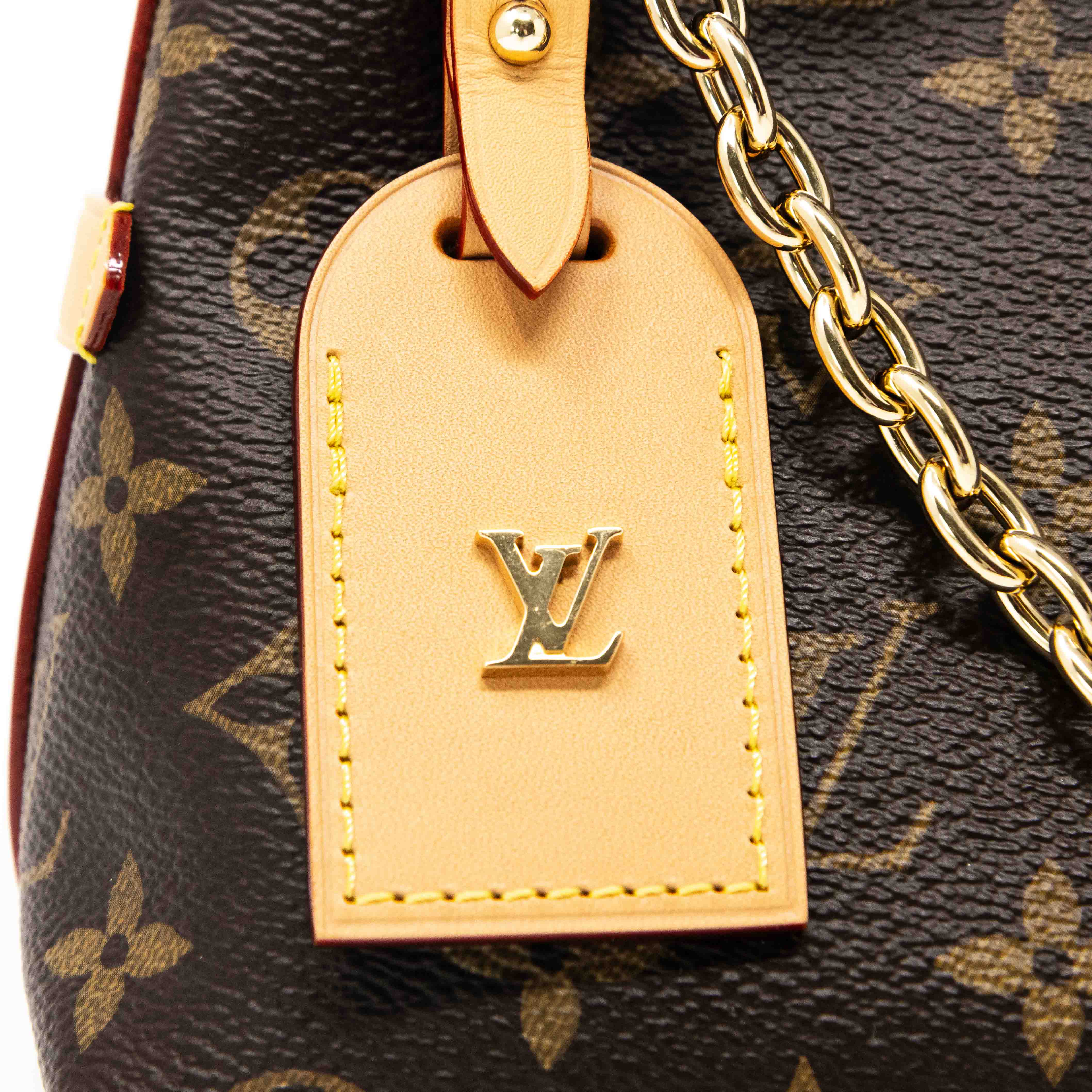 Louis Vuitton Monogram CarryAll BB