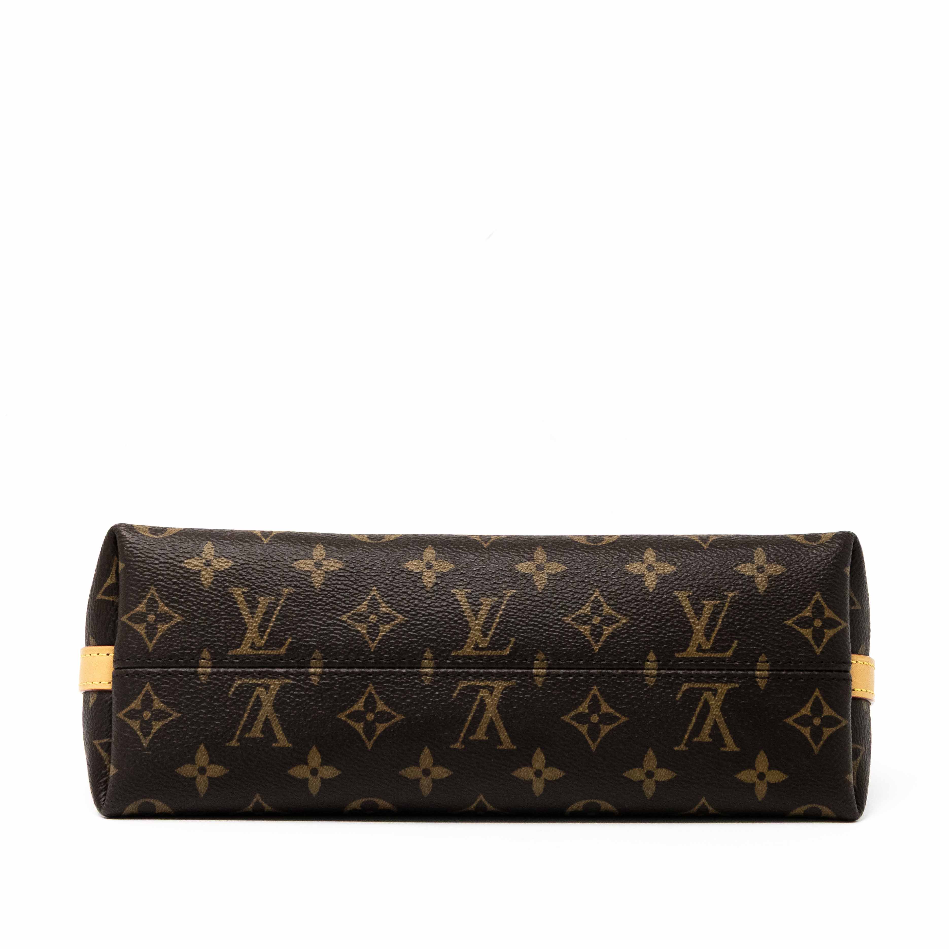 Louis Vuitton Monogram CarryAll BB