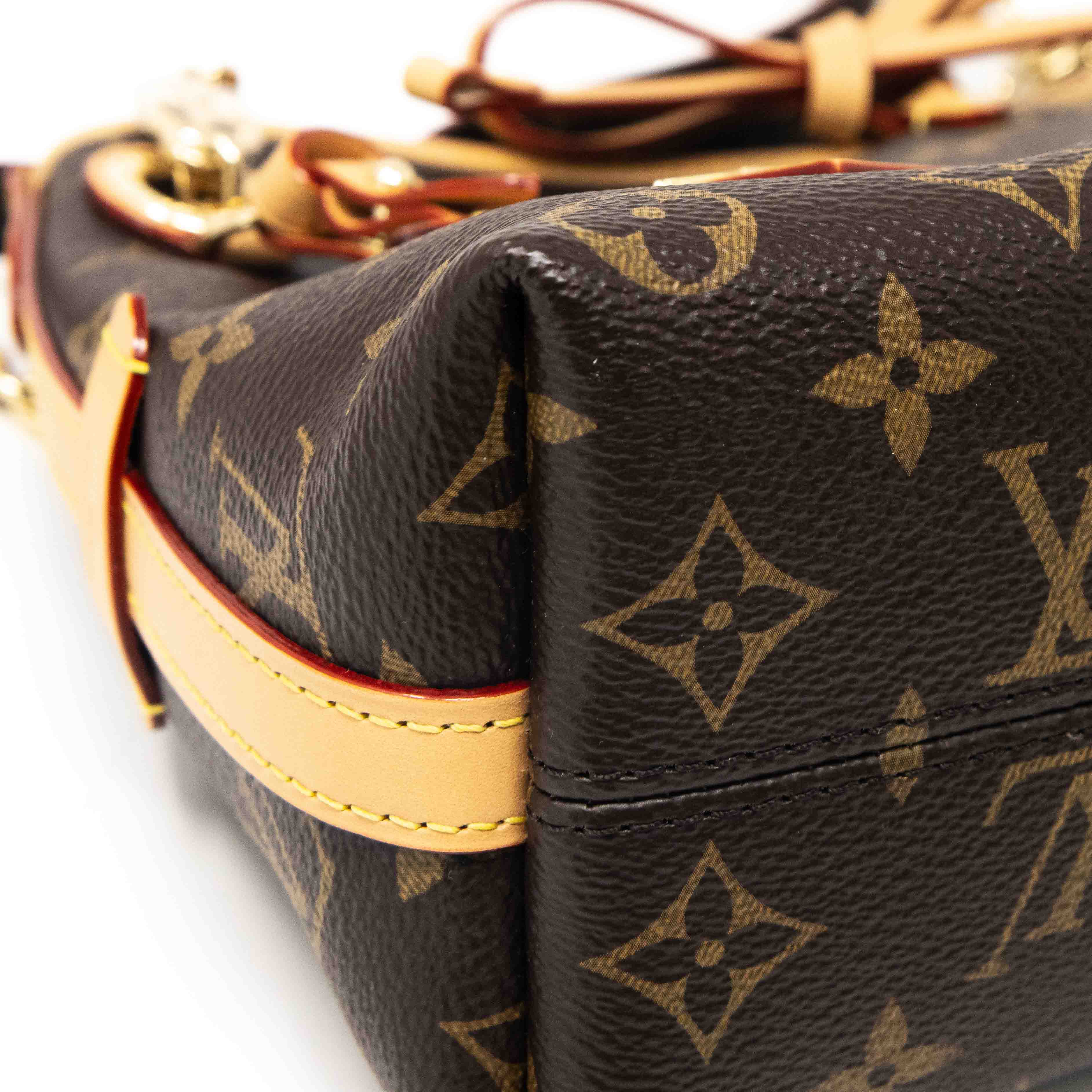 Louis Vuitton Monogram CarryAll BB