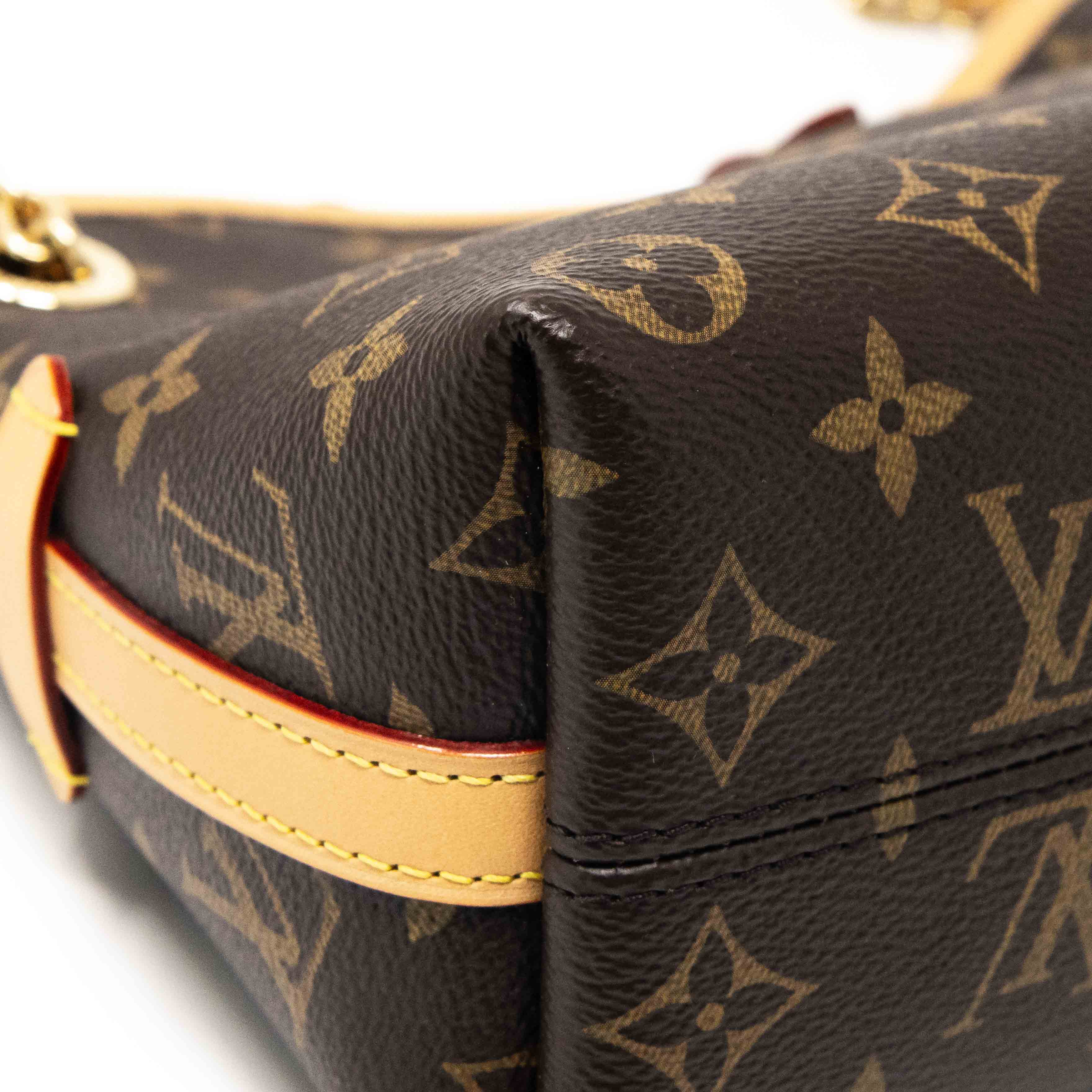 Louis Vuitton Monogram CarryAll BB