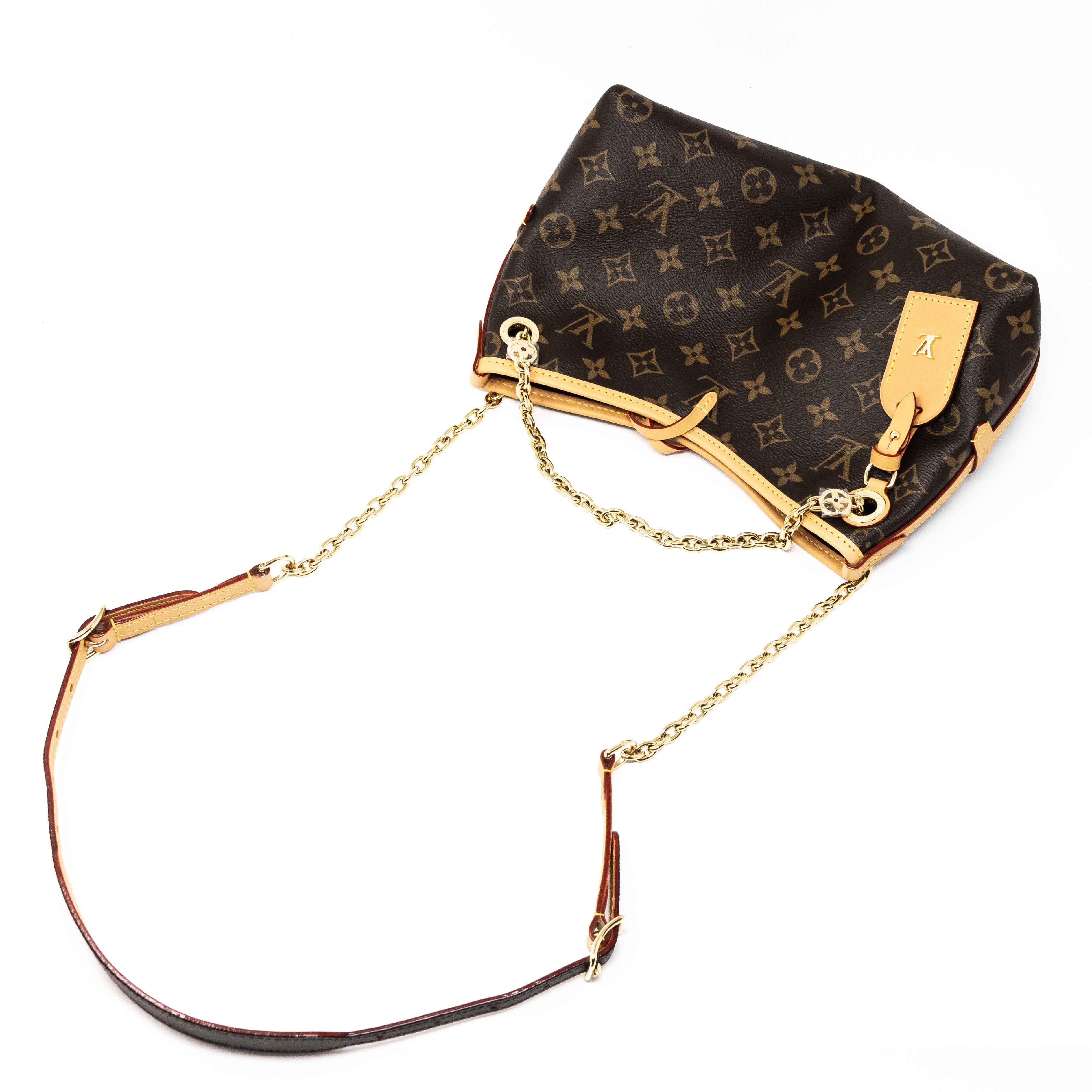 Louis Vuitton Monogram CarryAll BB