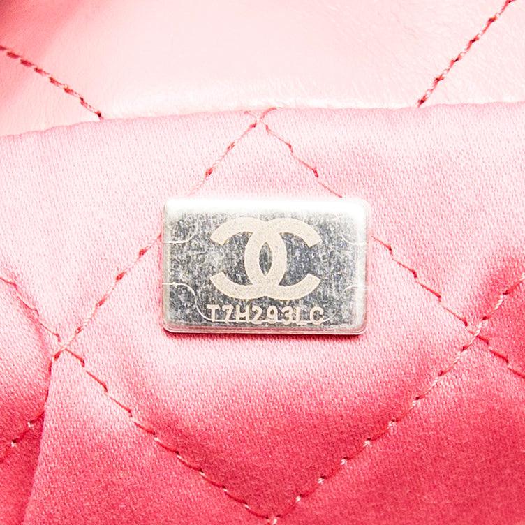 Chanel Pink Mini 22 Hobo