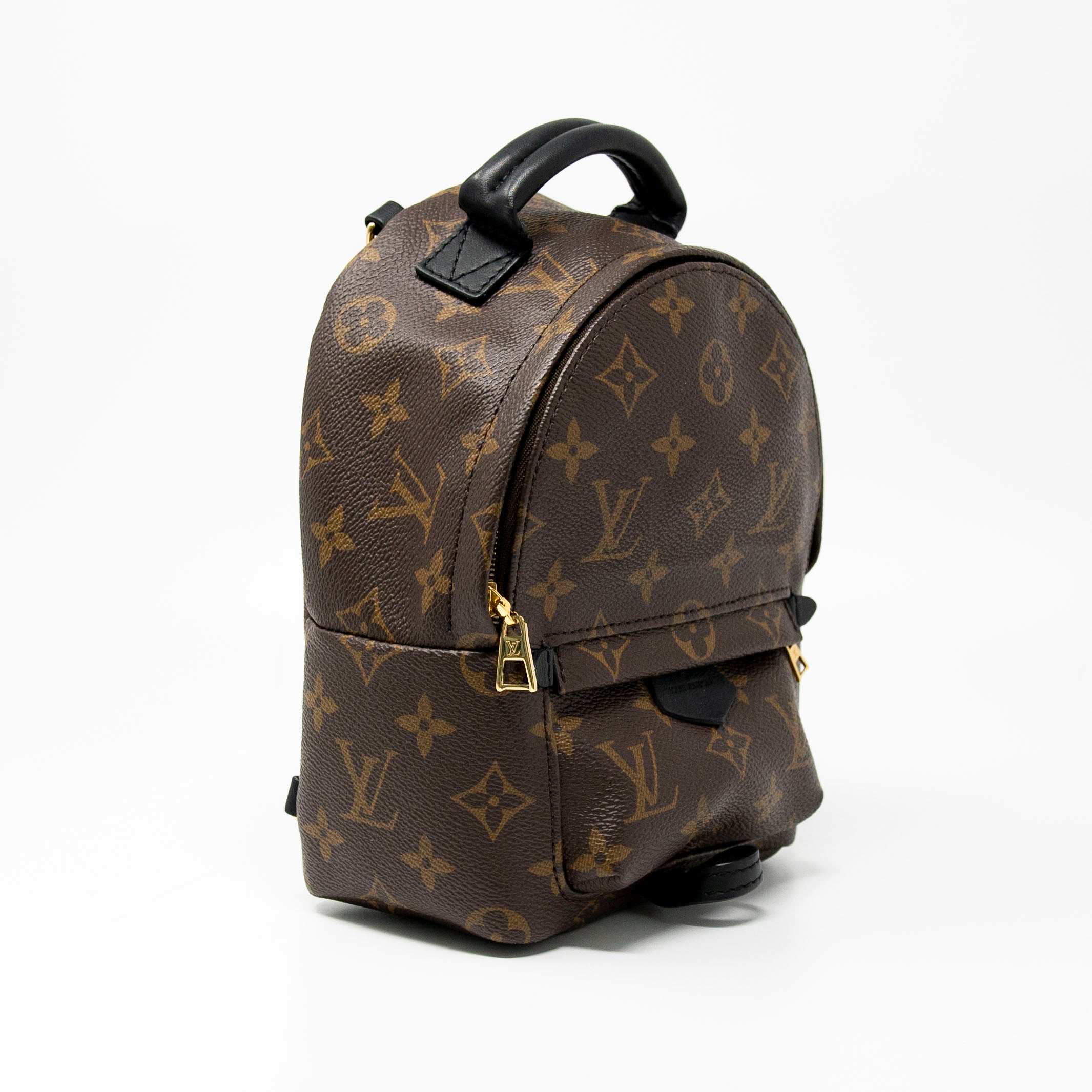 Louis Vuitton Monogram Mini Palm Springs Backpack