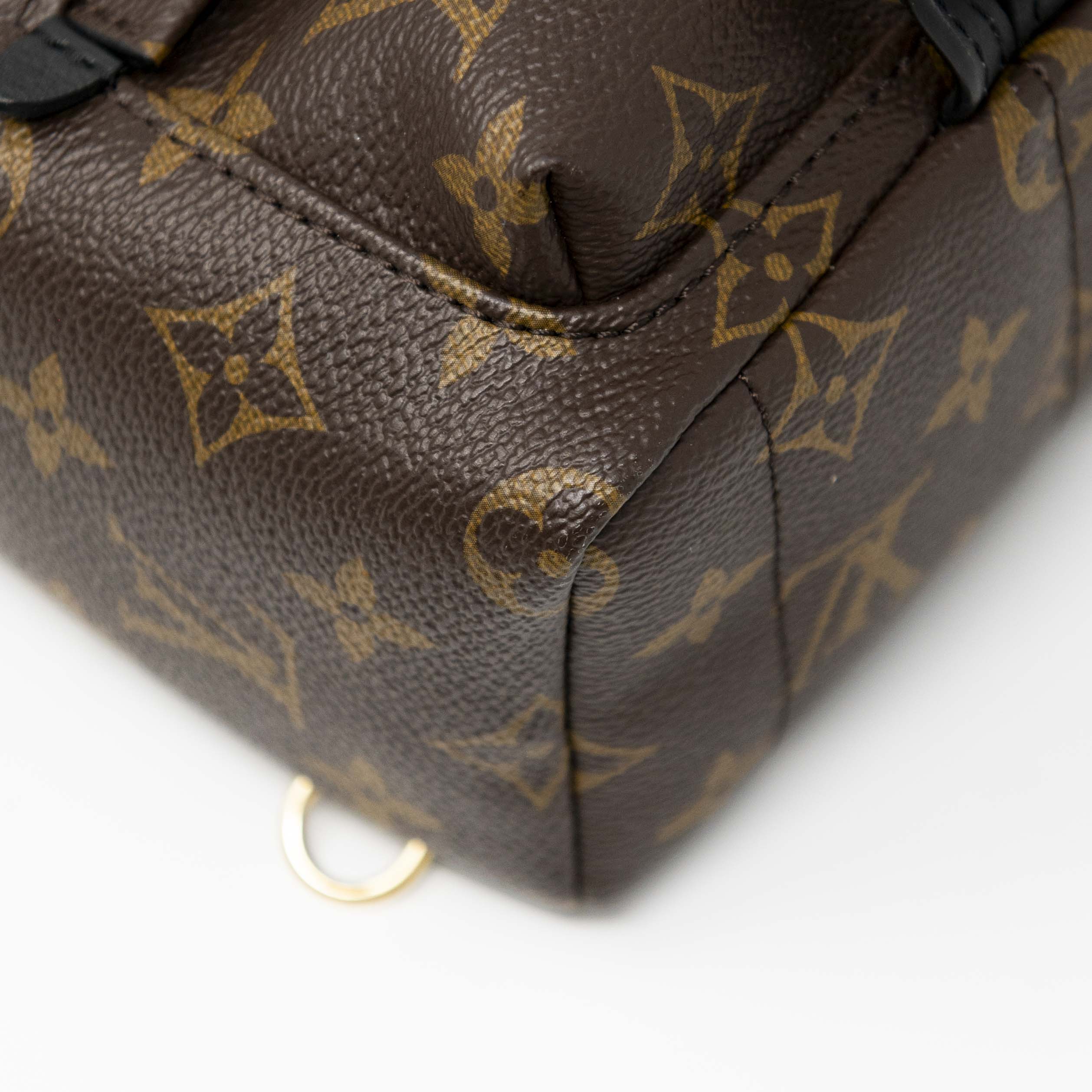 Louis Vuitton Monogram Mini Palm Springs Backpack