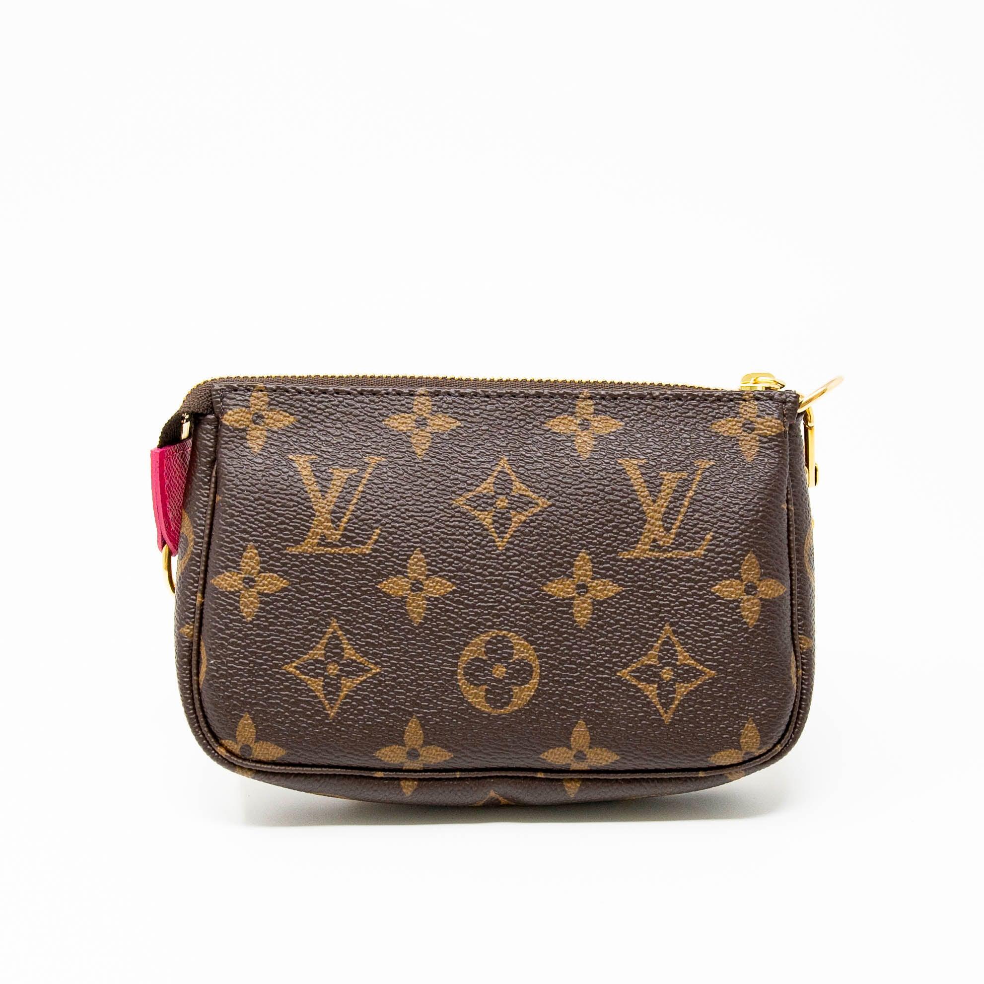 Louis Vuitton Courchevel Mini Pochette Accessories