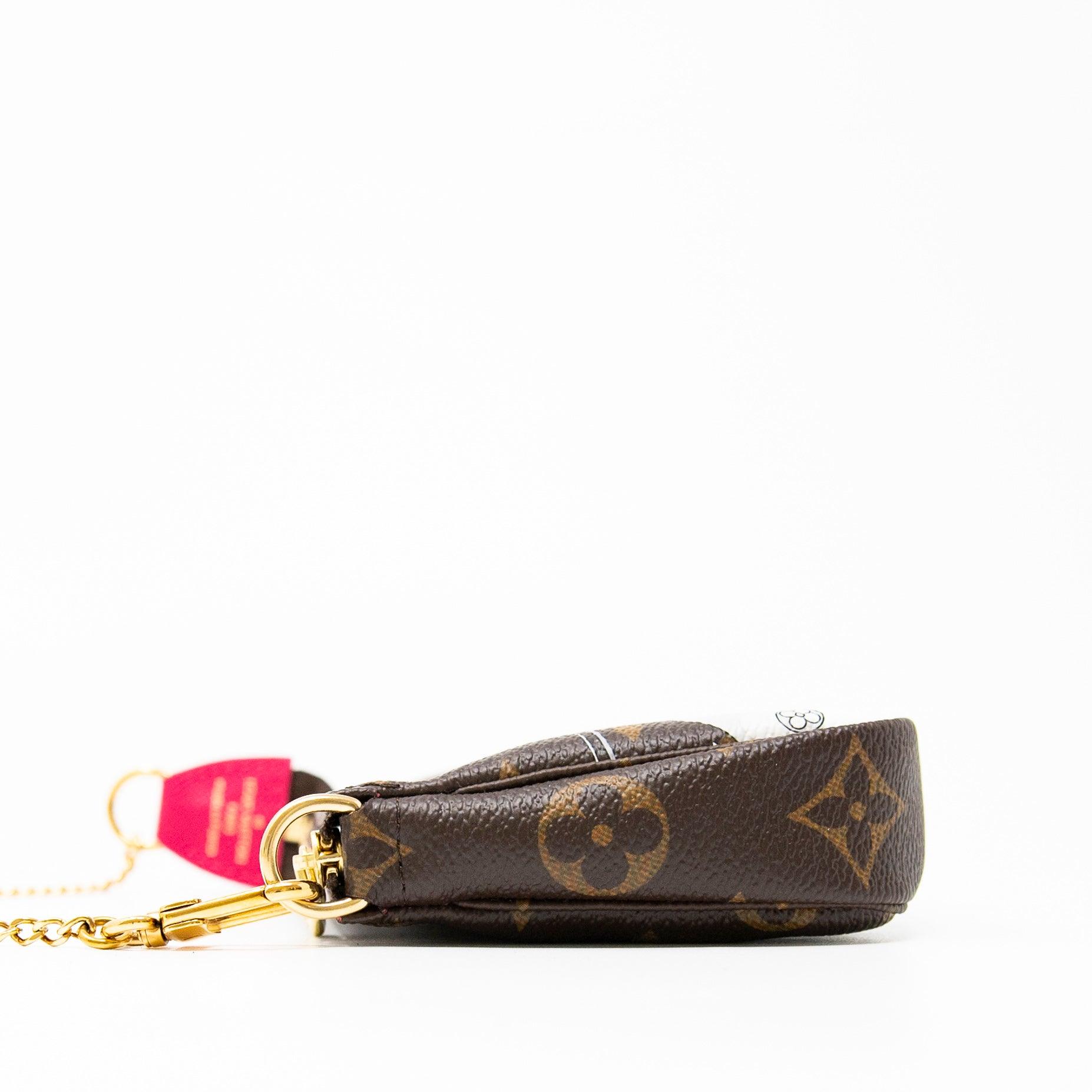 Louis Vuitton Courchevel Mini Pochette Accessories