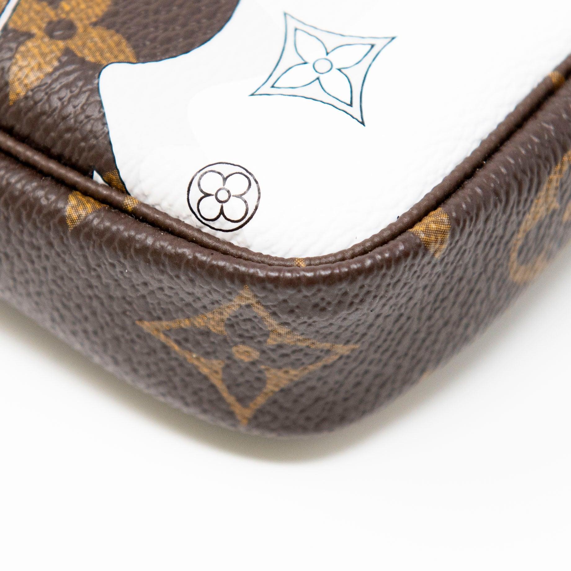 Louis Vuitton Courchevel Mini Pochette Accessories